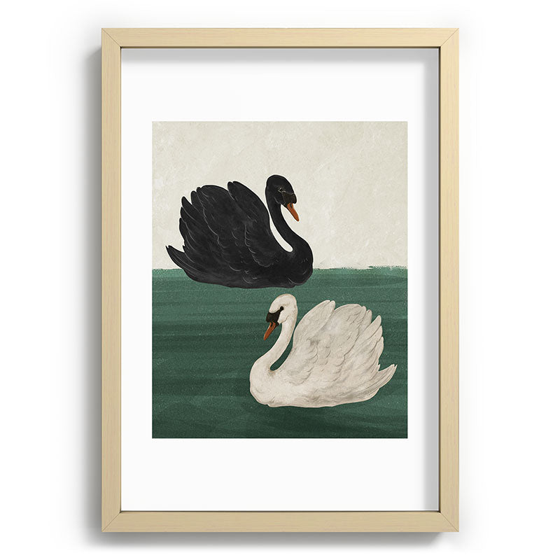 Black Swan White Swan Framed Art Print Gallery Image 42