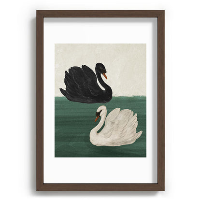 Black Swan White Swan Framed Art Print Gallery Image 38
