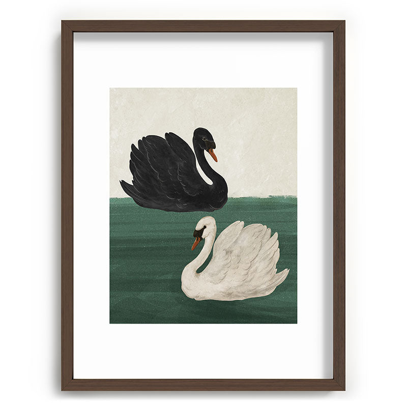 Black Swan White Swan Framed Art Print Gallery Image 39