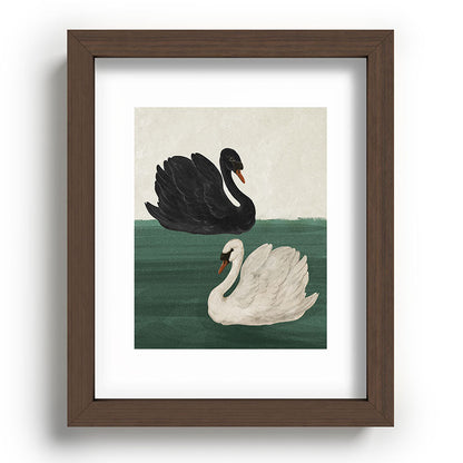 Black Swan White Swan Framed Art Print Gallery Image 37