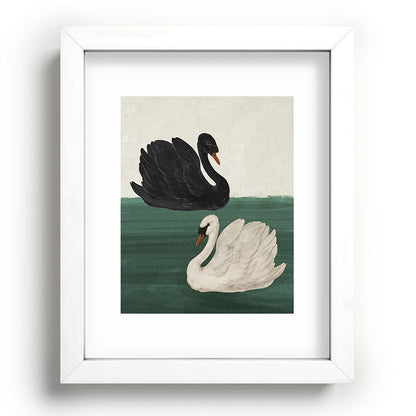 Black Swan White Swan Framed Art Print Gallery Image 45