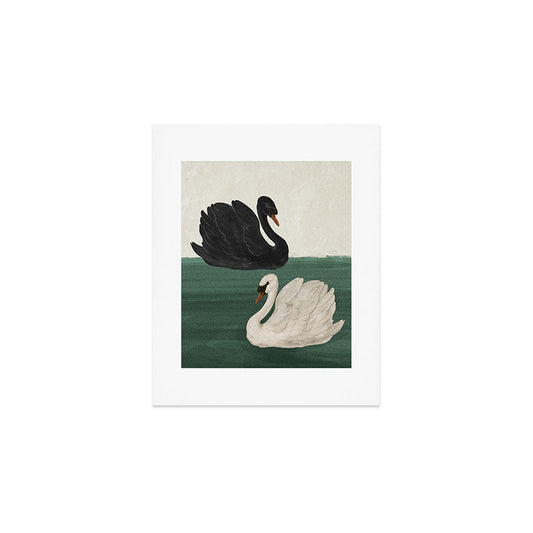 Black Swan White Swan Art Print Gallery Image 1