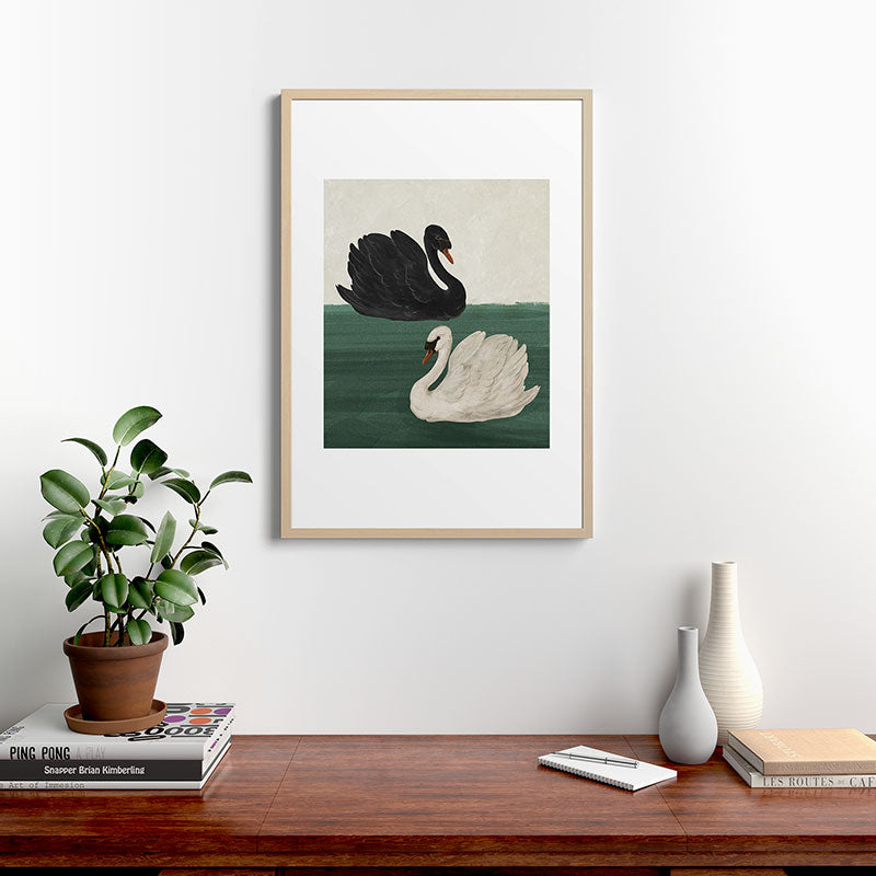 Black Swan White Swan Framed Art Print Gallery Image 12