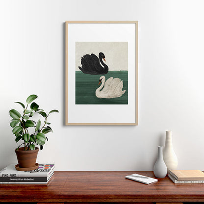 Black Swan White Swan Framed Art Print Gallery Image 12