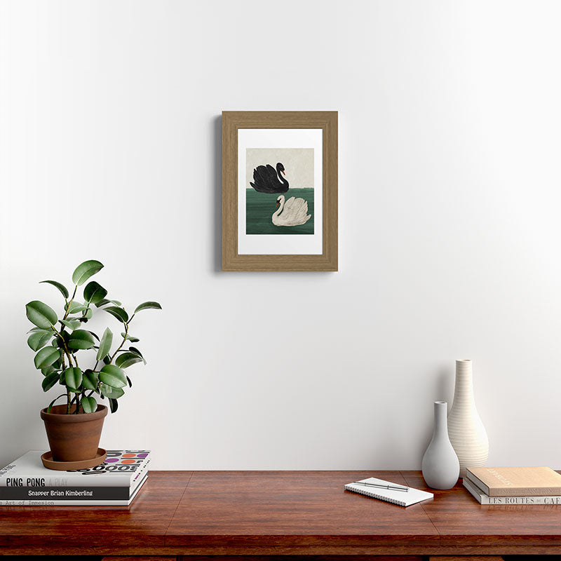 Black Swan White Swan Framed Art Print Gallery Image 22