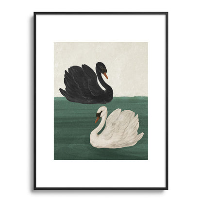 Black Swan White Swan Framed Art Print Gallery Image 51