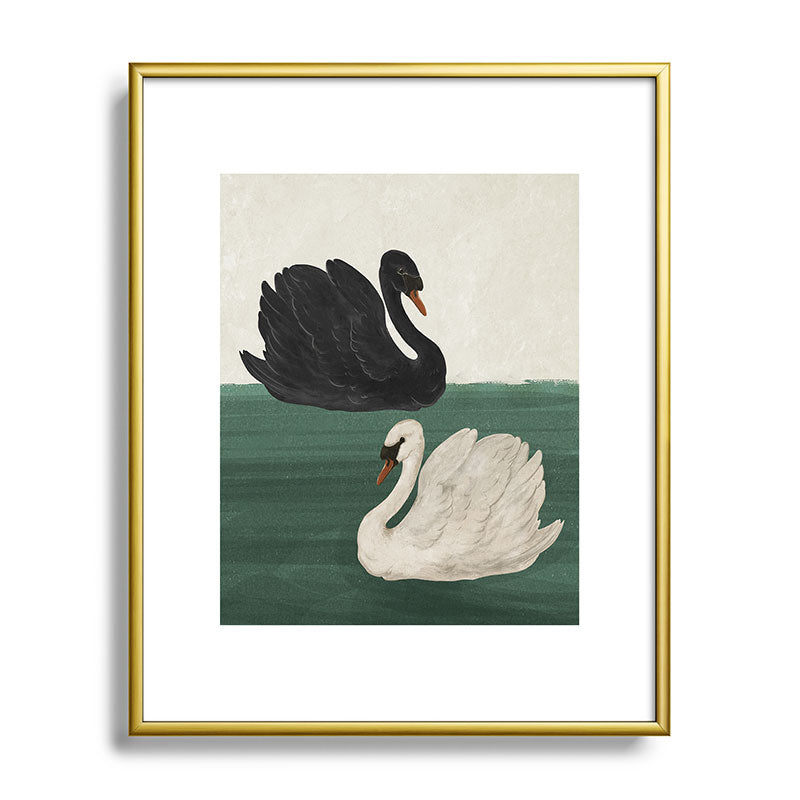 Black Swan White Swan Framed Art Print Gallery Image 53