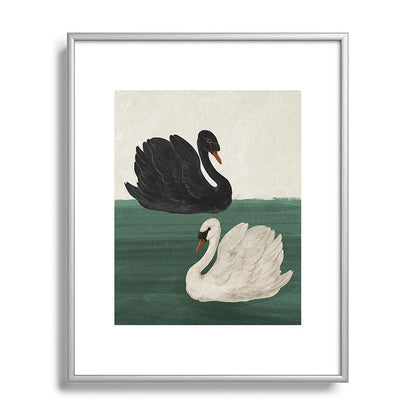 Black Swan White Swan Framed Art Print Gallery Image 57