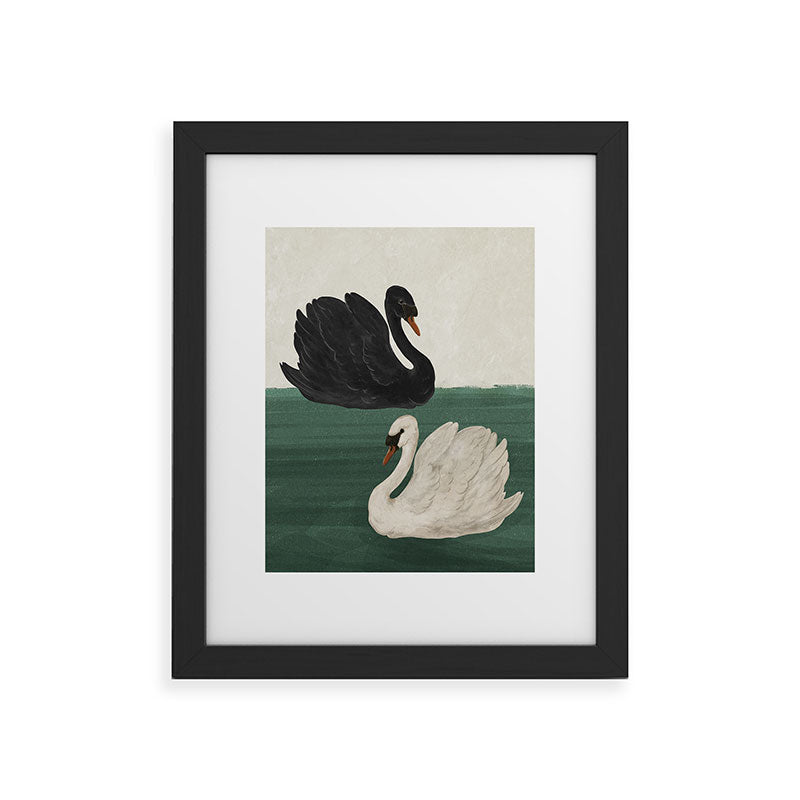Black Swan White Swan Framed Art Print Gallery Image 17