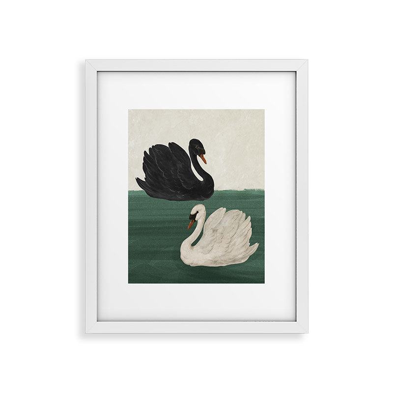 Black Swan White Swan Framed Art Print Gallery Image 16