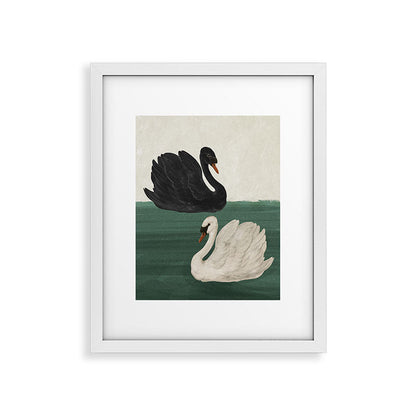 Black Swan White Swan Framed Art Print Gallery Image 15