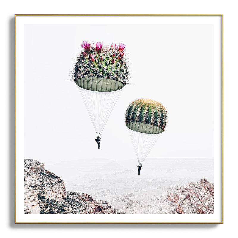 Flying Cacti Framed Art Print Gallery Image 139