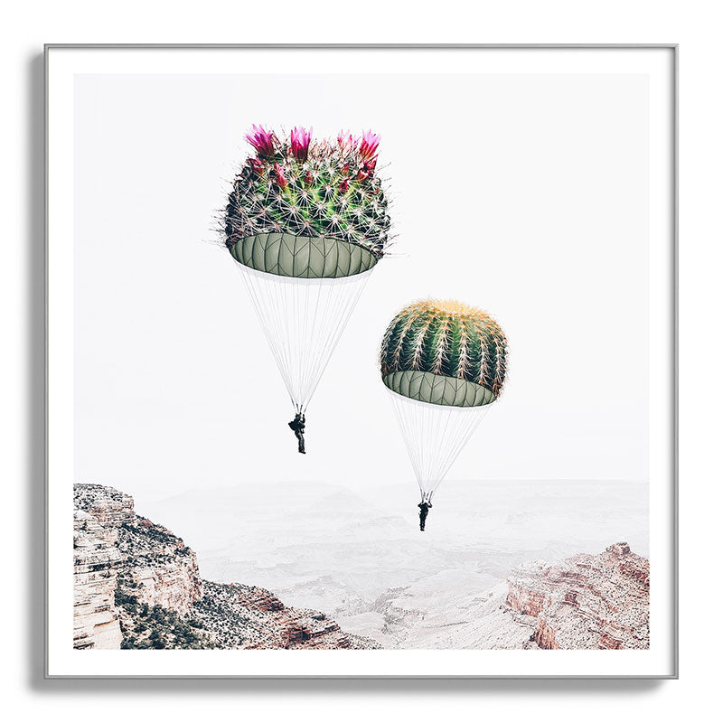 Flying Cacti Framed Art Print Gallery Image 142