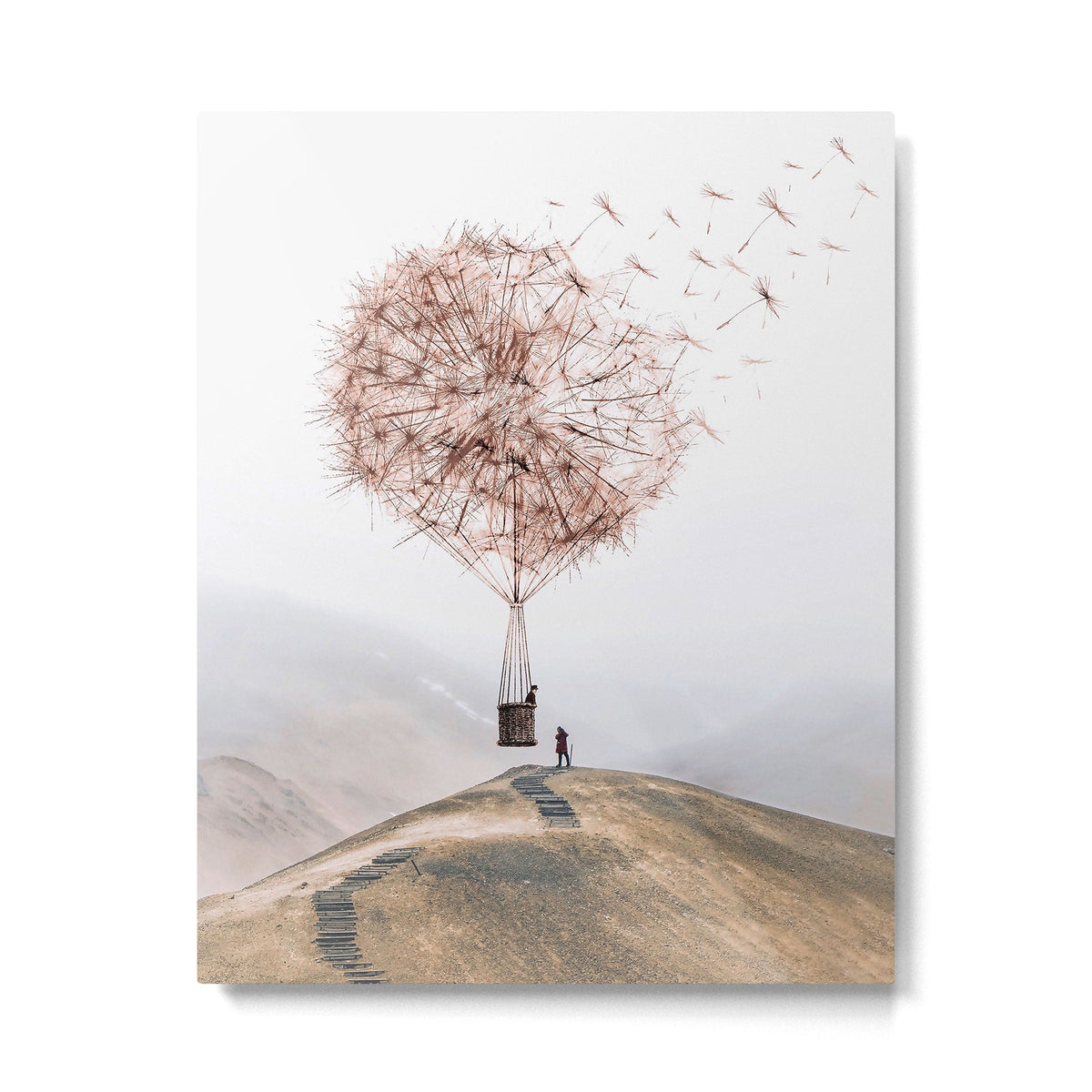 Flying Dandelion Metal Print Gallery Image 4