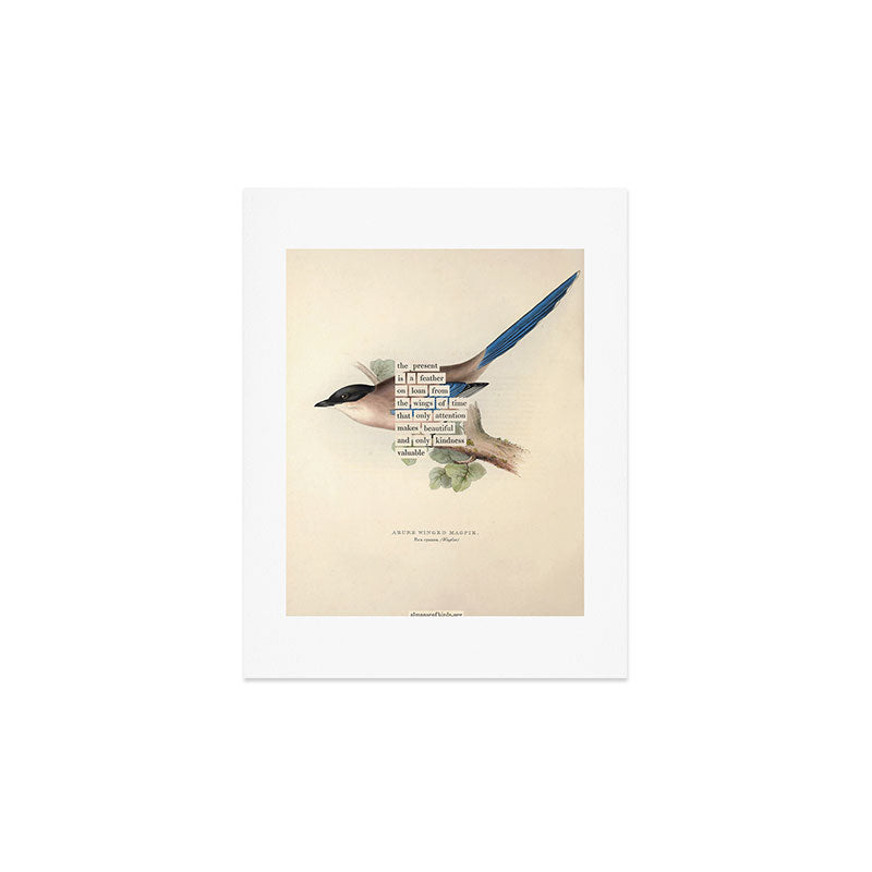 Bird Divinations: Azure Magpie (about: almanacofbirds.org) Art Print Gallery Image 2