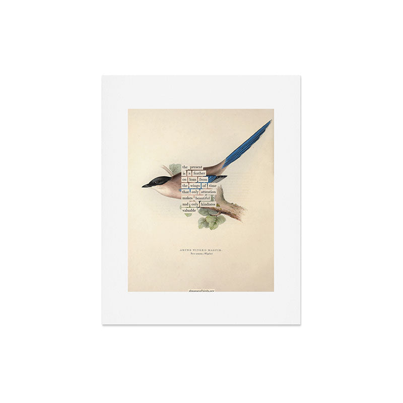 Bird Divinations: Azure Magpie (about: almanacofbirds.org) Art Print Gallery Image 4
