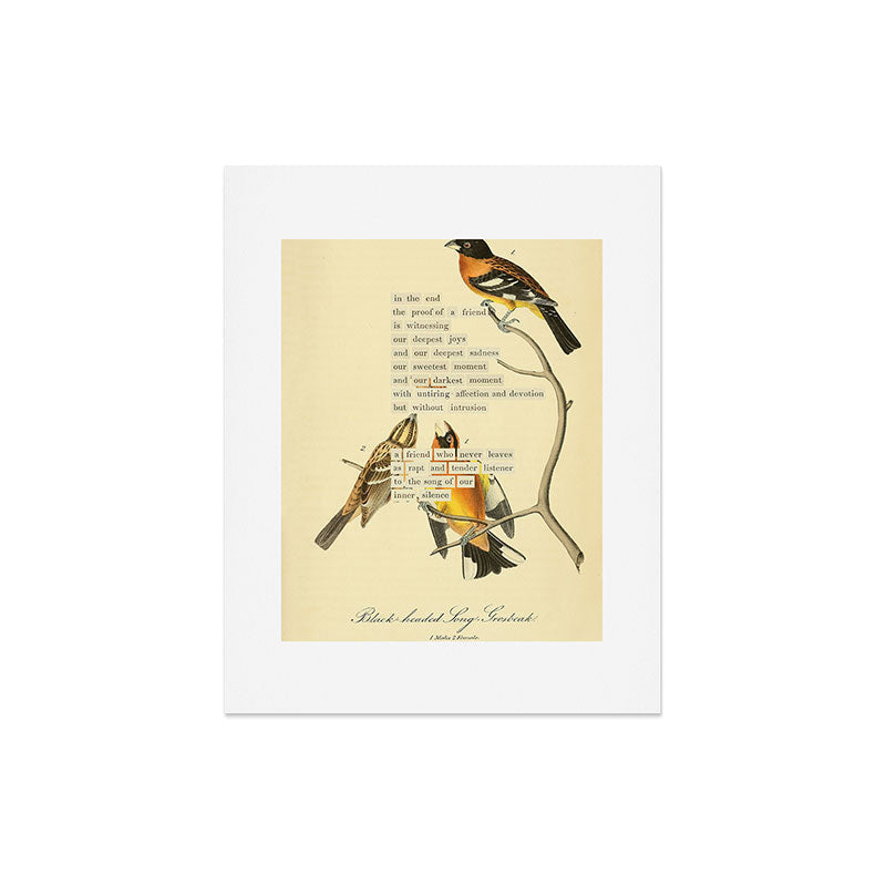 Bird Divinations: Black-headed Song-grosbeak (about: almanacofbirds.org) Art Print Gallery Image 4