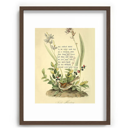 Bird Divinations: Field Bunting (about: almanacofbirds.org) Framed Art Print Gallery Image 67