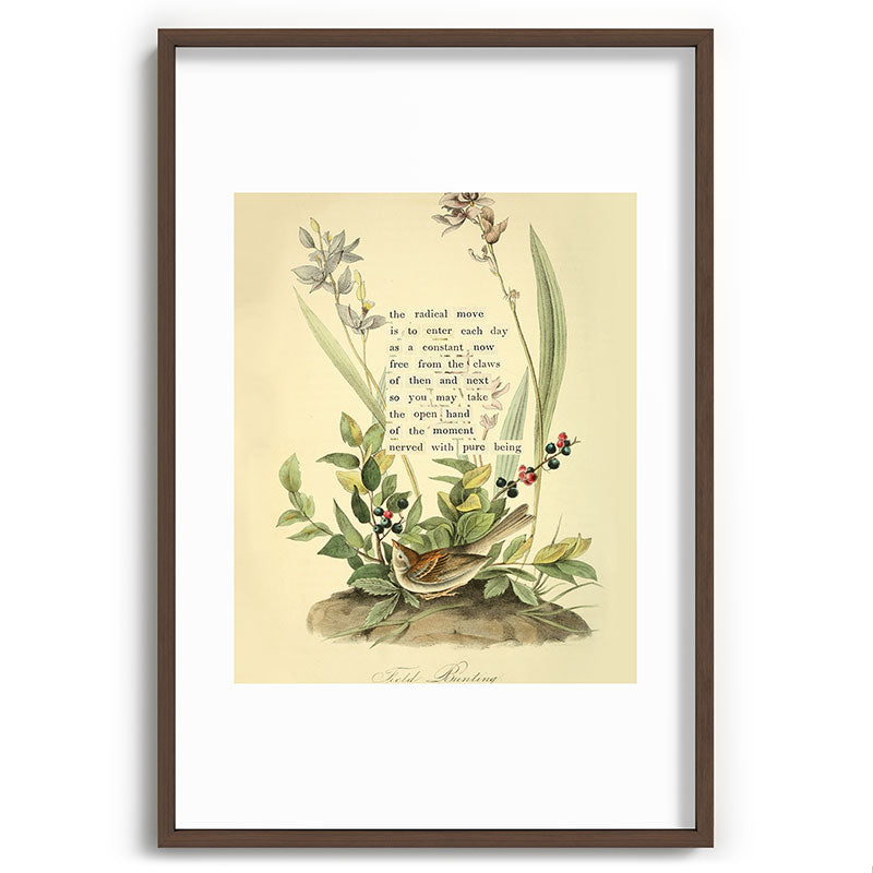 Bird Divinations: Field Bunting (about: almanacofbirds.org) Framed Art Print Gallery Image 68