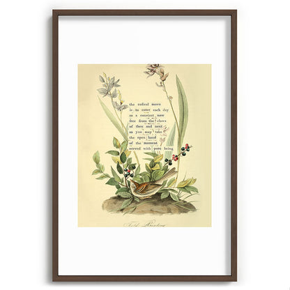 Bird Divinations: Field Bunting (about: almanacofbirds.org) Framed Art Print Gallery Image 68