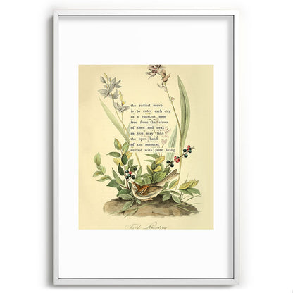 Bird Divinations: Field Bunting (about: almanacofbirds.org) Framed Art Print Gallery Image 80