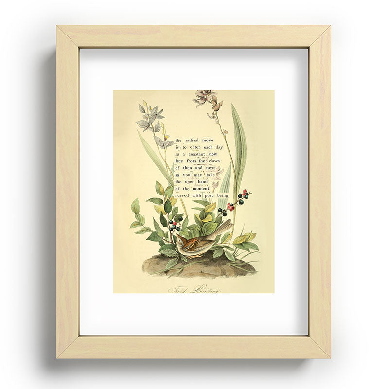 Bird Divinations: Field Bunting (about: almanacofbirds.org) Framed Art Print Gallery Image 70