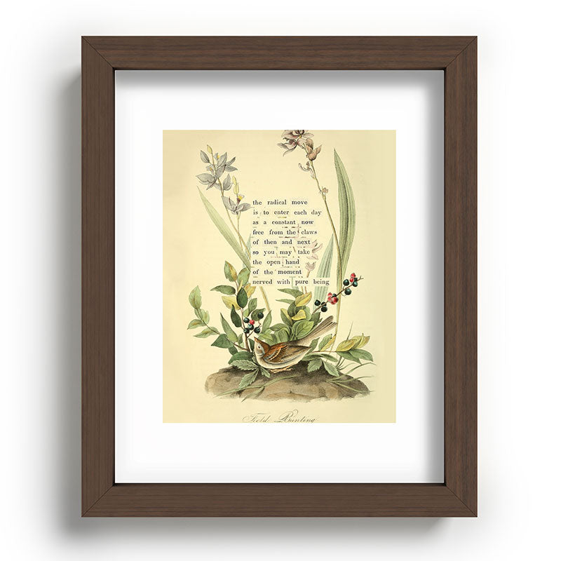 Bird Divinations: Field Bunting (about: almanacofbirds.org) Framed Art Print Gallery Image 64