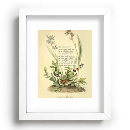 Bird Divinations: Field Bunting (about: almanacofbirds.org) Framed Art Print Gallery Image 75