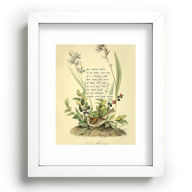 Bird Divinations: Field Bunting (about: almanacofbirds.org) Framed Art Print Gallery Image 76