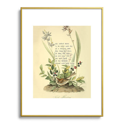 Bird Divinations: Field Bunting (about: almanacofbirds.org) Framed Art Print Gallery Image 92