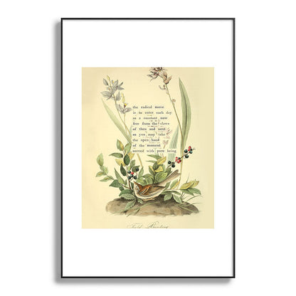 Bird Divinations: Field Bunting (about: almanacofbirds.org) Framed Art Print Gallery Image 87