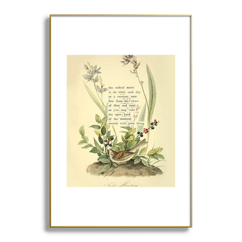 Bird Divinations: Field Bunting (about: almanacofbirds.org) Framed Art Print Gallery Image 93