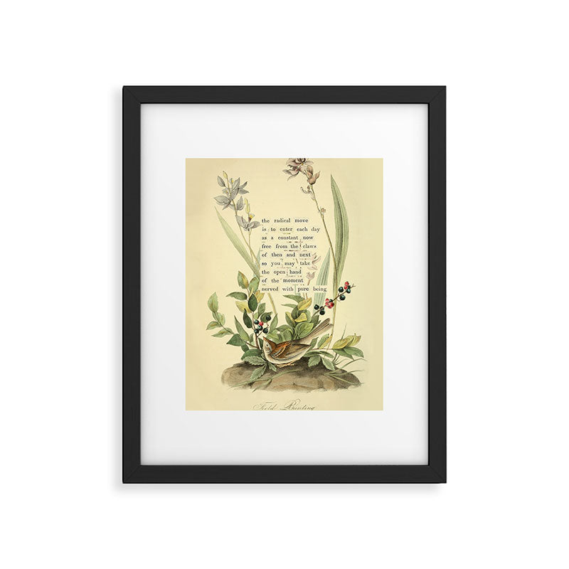 Bird Divinations: Field Bunting (about: almanacofbirds.org) Framed Art Print Gallery Image 1
