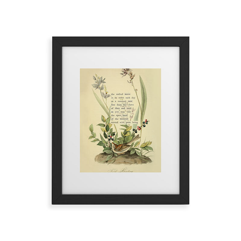 Bird Divinations: Field Bunting (about: almanacofbirds.org) Framed Art Print Gallery Image 32