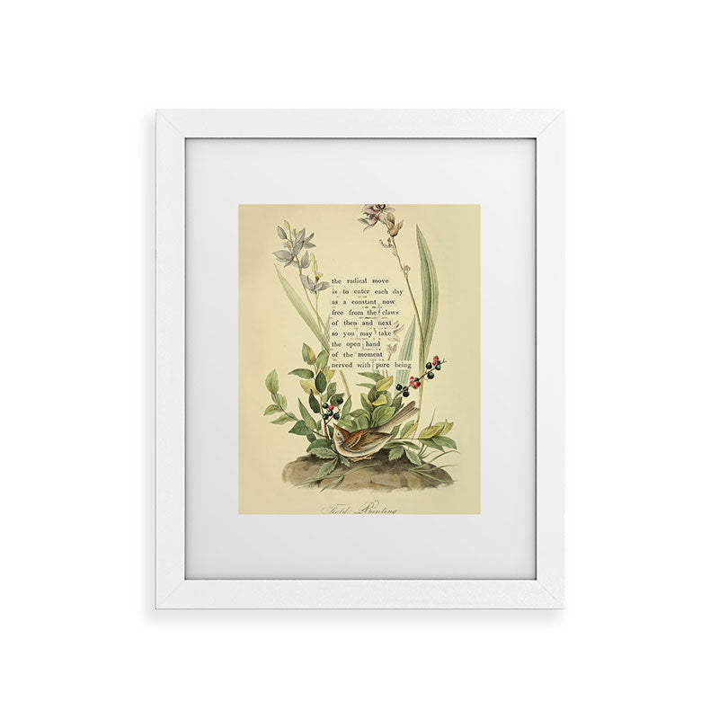 Bird Divinations: Field Bunting (about: almanacofbirds.org) Framed Art Print Gallery Image 55