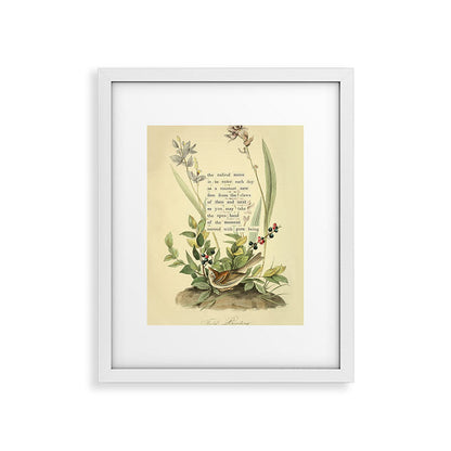 Bird Divinations: Field Bunting (about: almanacofbirds.org) Framed Art Print Gallery Image 26