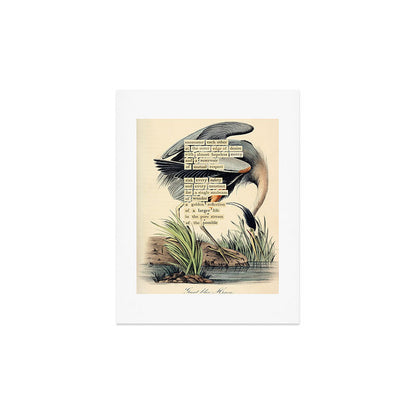 Bird Divinations: Great Blue Heron (about: almanacofbirds.org) Art Print Gallery Image 2
