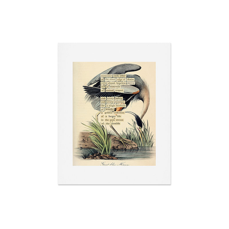 Bird Divinations: Great Blue Heron (about: almanacofbirds.org) Art Print Gallery Image 5