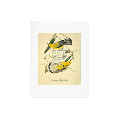 Bird Divinations: Prothonotary swamp warbler (about: almanacofbirds.org) Art Print Gallery Image 6
