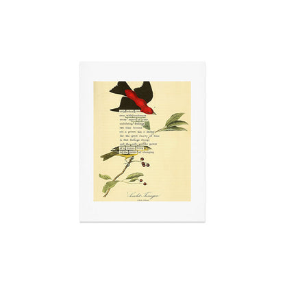 Bird Divinations: Scarlet Tanager (about: almanacofbirds.org) Art Print Gallery Image 3