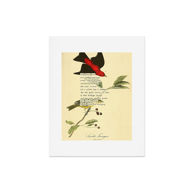 Bird Divinations: Scarlet Tanager (about: almanacofbirds.org) Art Print Gallery Image 5