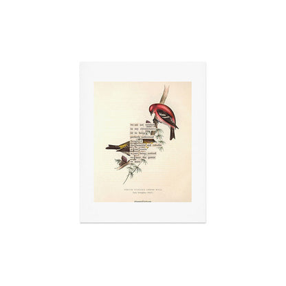 Bird Divinations: White-Winged Cross Bill (about: almanacofbirds.org) Art Print Gallery Image 3
