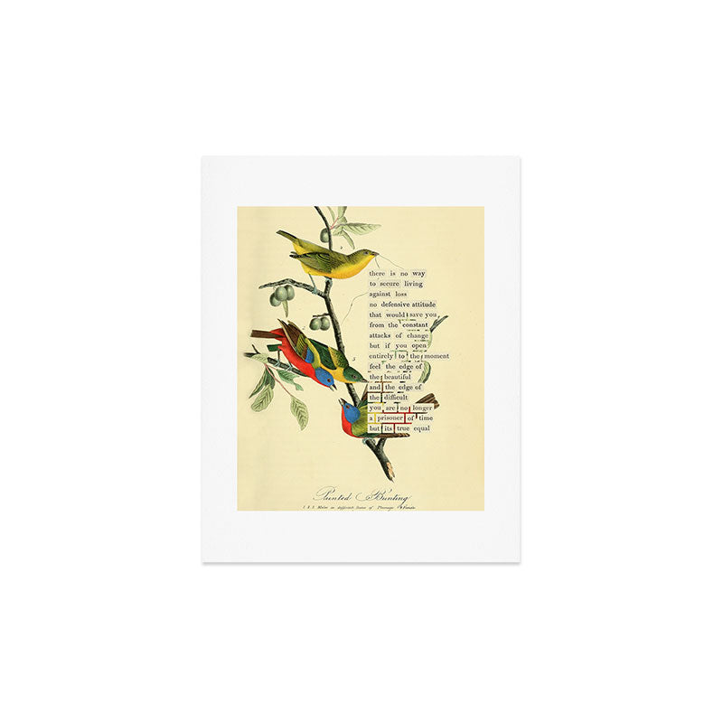 Painted Bunting from 'An Almanac of Birds - Divinations for Uncertain Days' (almanacofbirds.org) Art Print Gallery Image 2