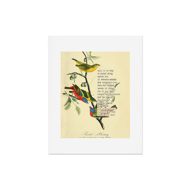 Painted Bunting from 'An Almanac of Birds - Divinations for Uncertain Days' (almanacofbirds.org) Art Print Gallery Image 4