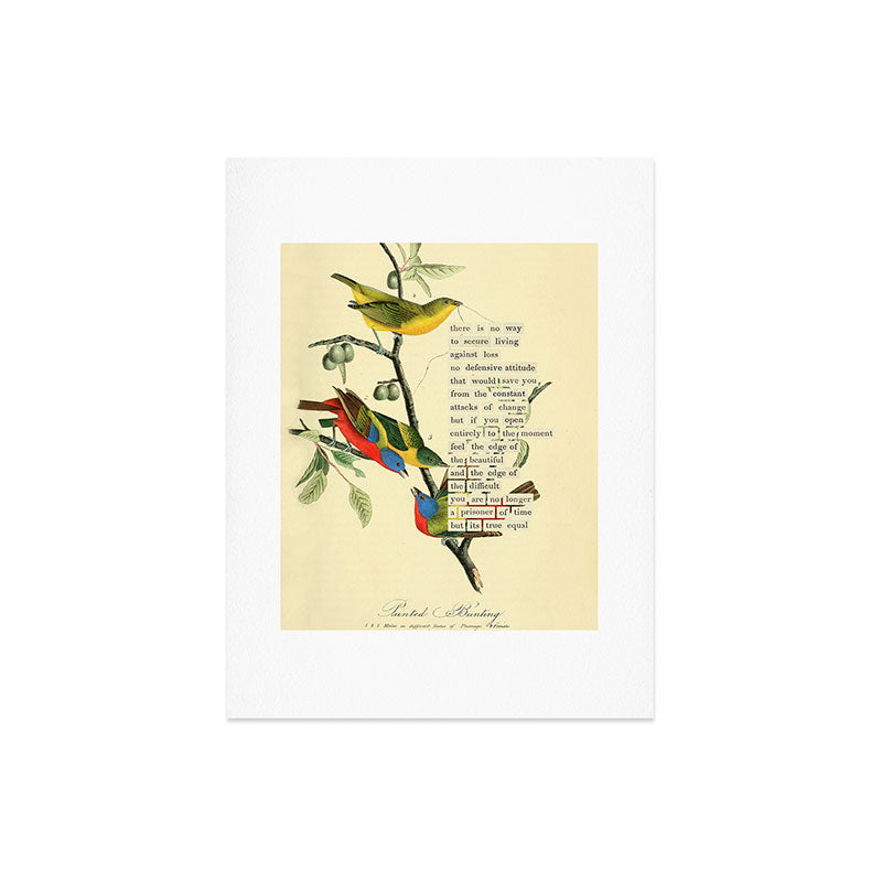 Painted Bunting from 'An Almanac of Birds - Divinations for Uncertain Days' (almanacofbirds.org) Art Print Gallery Image 6