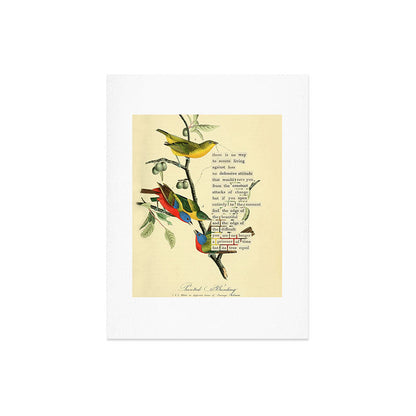 Painted Bunting from 'An Almanac of Birds - Divinations for Uncertain Days' (almanacofbirds.org) Art Print Gallery Image 6