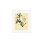 Painted Bunting from 'An Almanac of Birds - Divinations for Uncertain Days' (almanacofbirds.org) Art Print Gallery Image 1