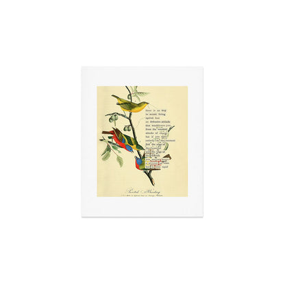 Painted Bunting from 'An Almanac of Birds - Divinations for Uncertain Days' (almanacofbirds.org) Art Print Gallery Image 1
