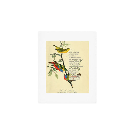 Painted Bunting from 'An Almanac of Birds - Divinations for Uncertain Days' (almanacofbirds.org) Art Print Gallery Image 1