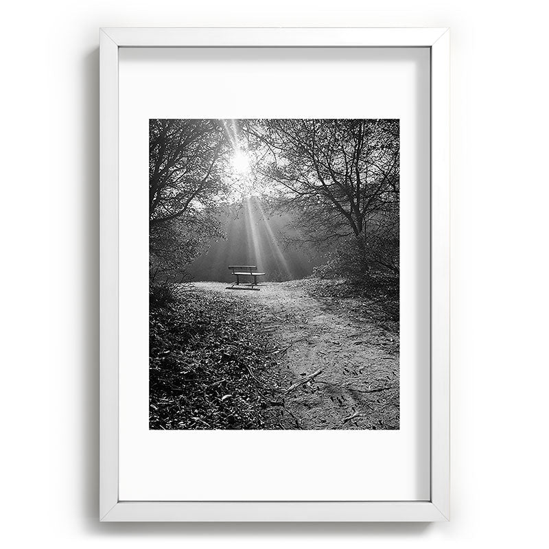 "Sunlit Solitude" by Maria Popova Framed Art Print Gallery Image 77